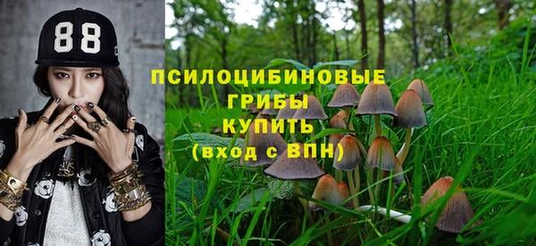 героин Алзамай