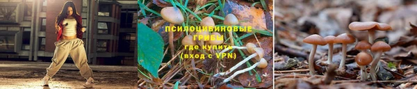 прущая мука Семилуки